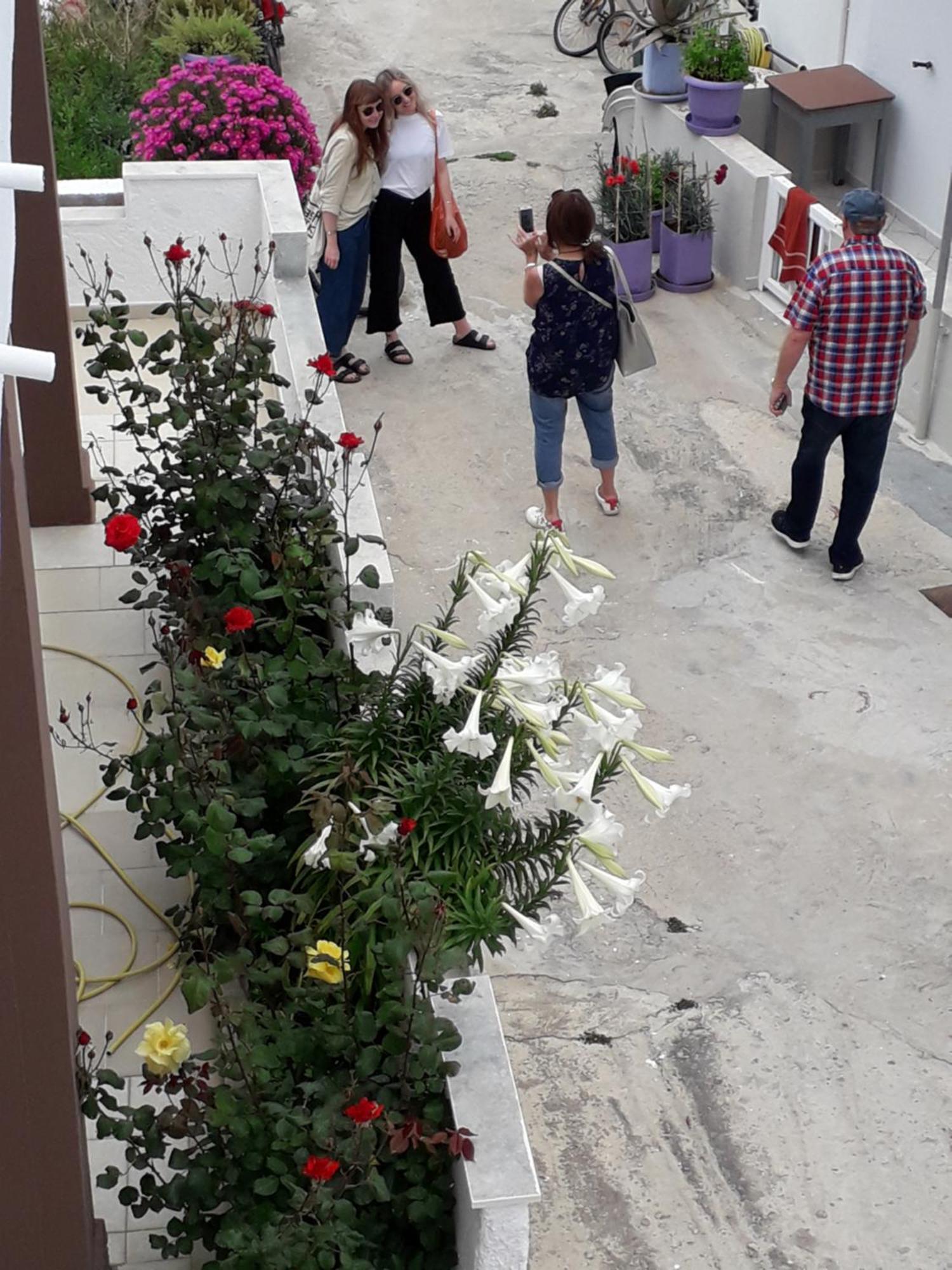 Mastichari Nektaria Studio Διαμέρισμα Εξωτερικό φωτογραφία