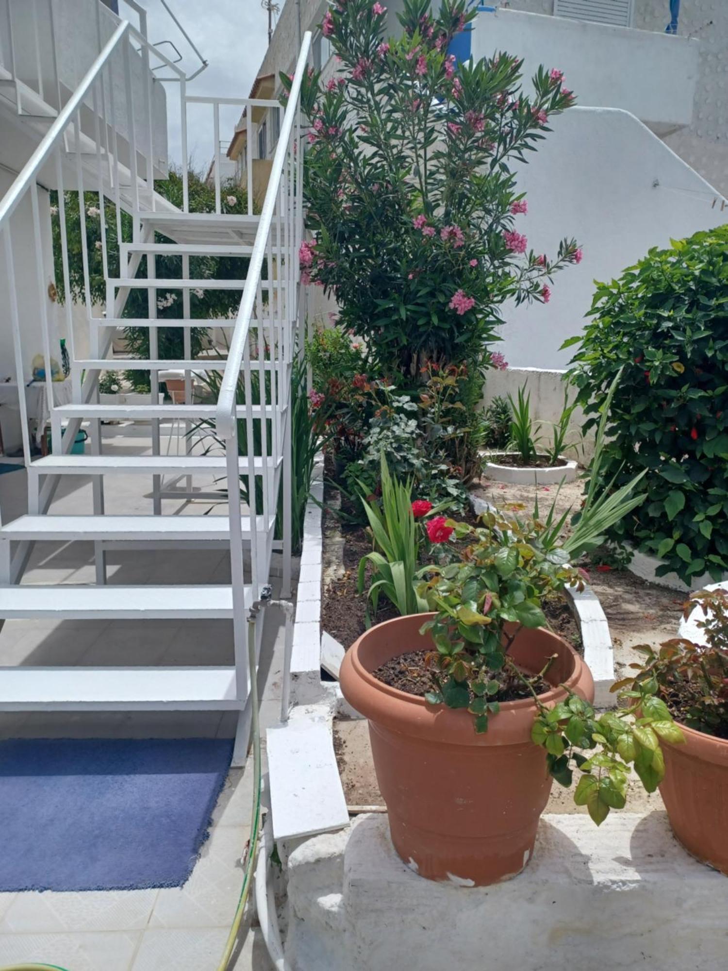 Mastichari Nektaria Studio Διαμέρισμα Εξωτερικό φωτογραφία