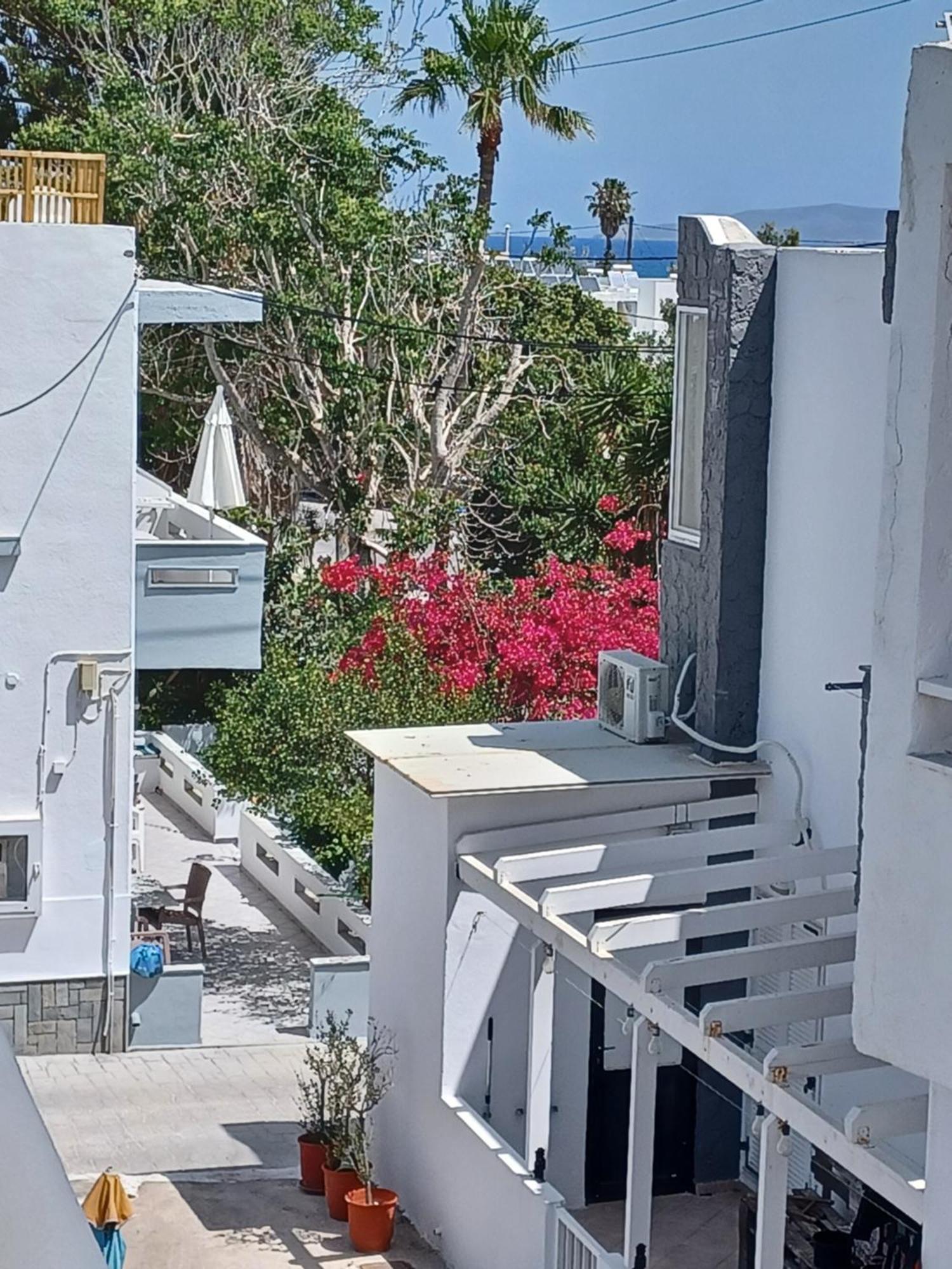 Mastichari Nektaria Studio Διαμέρισμα Εξωτερικό φωτογραφία