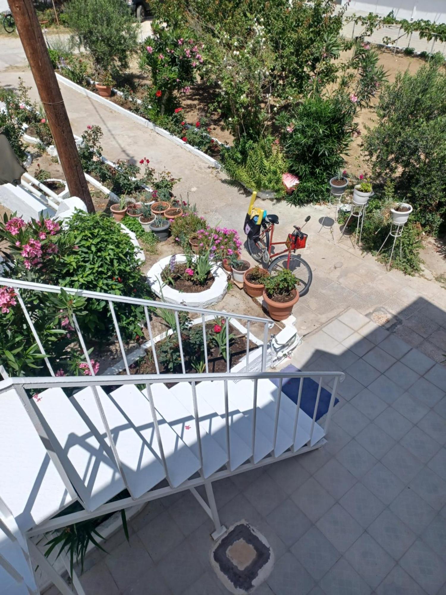 Mastichari Nektaria Studio Διαμέρισμα Εξωτερικό φωτογραφία