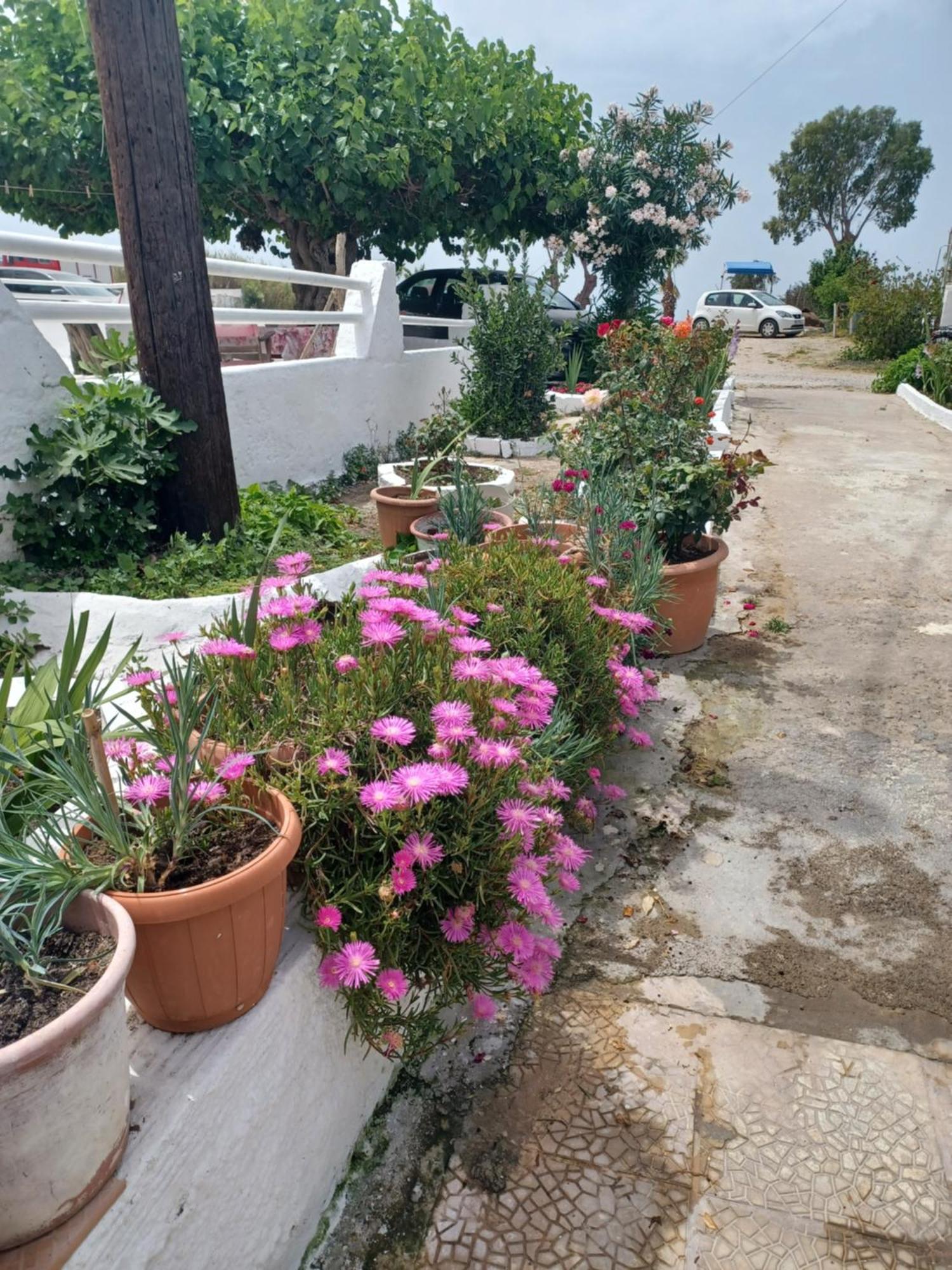 Mastichari Nektaria Studio Διαμέρισμα Εξωτερικό φωτογραφία