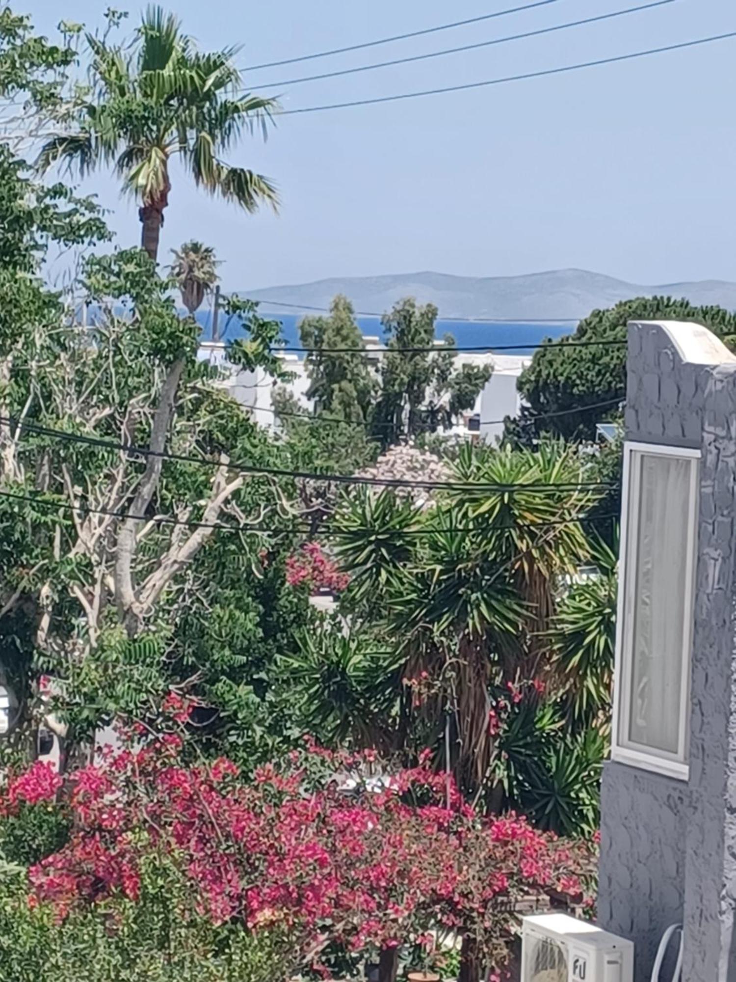 Mastichari Nektaria Studio Διαμέρισμα Εξωτερικό φωτογραφία